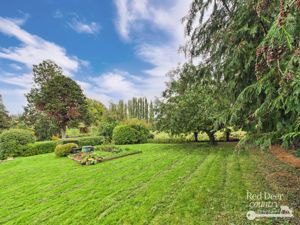 Garden- click for photo gallery